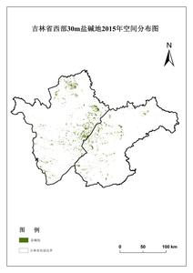 吉林省西部30m盐碱地分布遥感监测空间数据集(2000、2015年)